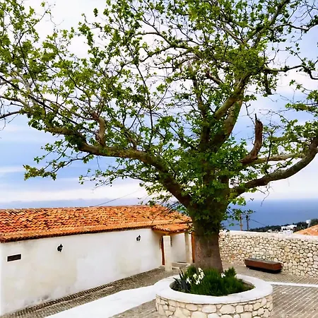 Old Soul, Sea Views *